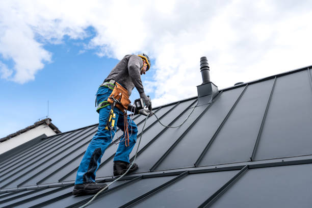 Best Roof Maintenance and Cleaning  in Taunton, MA